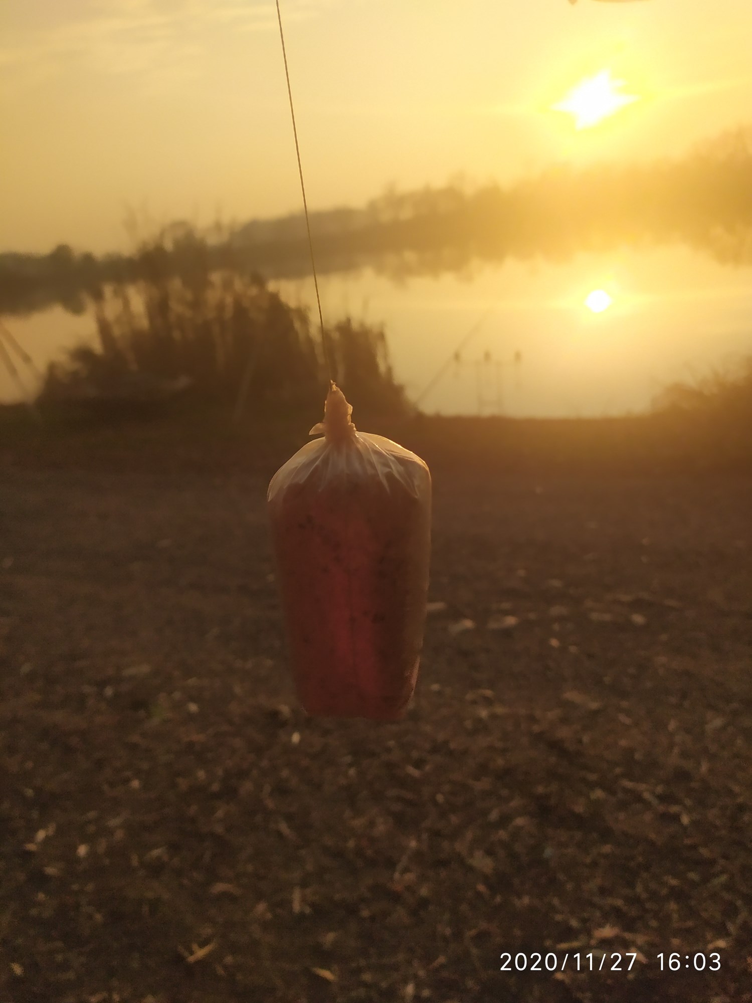 ISOLA DEL PESCATORE 27 nov. - IMG20201127160317.jpg